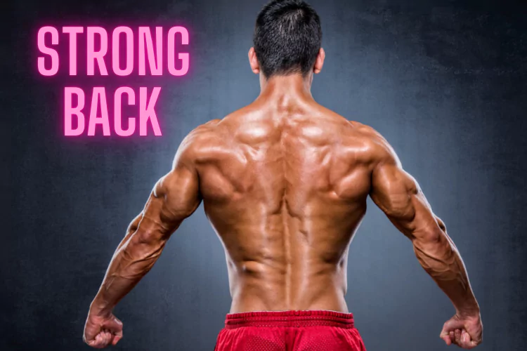 an image of The Ultimate Guide to Building a Strong Back